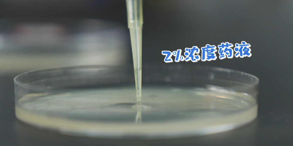 年纪轻轻的90后,竟然英年早秃了!实验告诉你,头发是怎么秃的! 年纪轻轻的90后,竟然英年早秃了!实验告诉你,头发是怎么秃的!