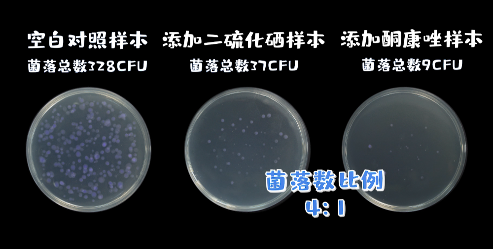 年纪轻轻的90后,竟然英年早秃了!实验告诉你,头发是怎么秃的! 年纪轻轻的90后,竟然英年早秃了!实验告诉你,头发是怎么秃的!
